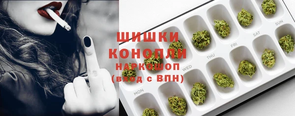 гашик Арсеньев