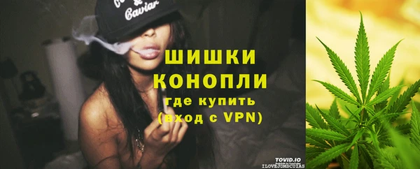 гашик Аркадак