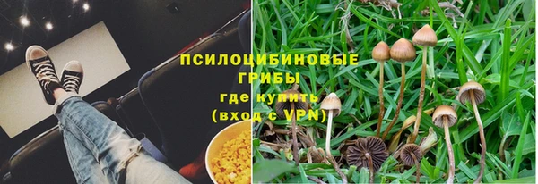 гашик Аркадак