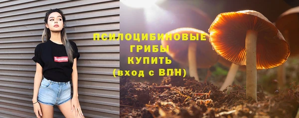 ешки Тихвин
