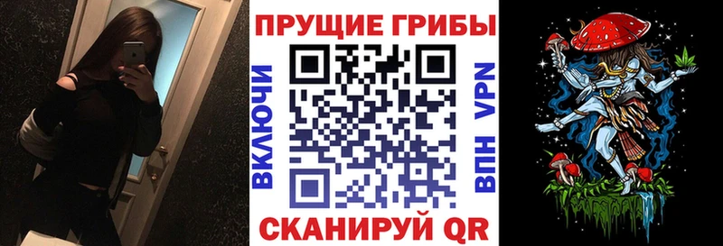 Галлюциногенные грибы прущие грибы  цены   Покров 